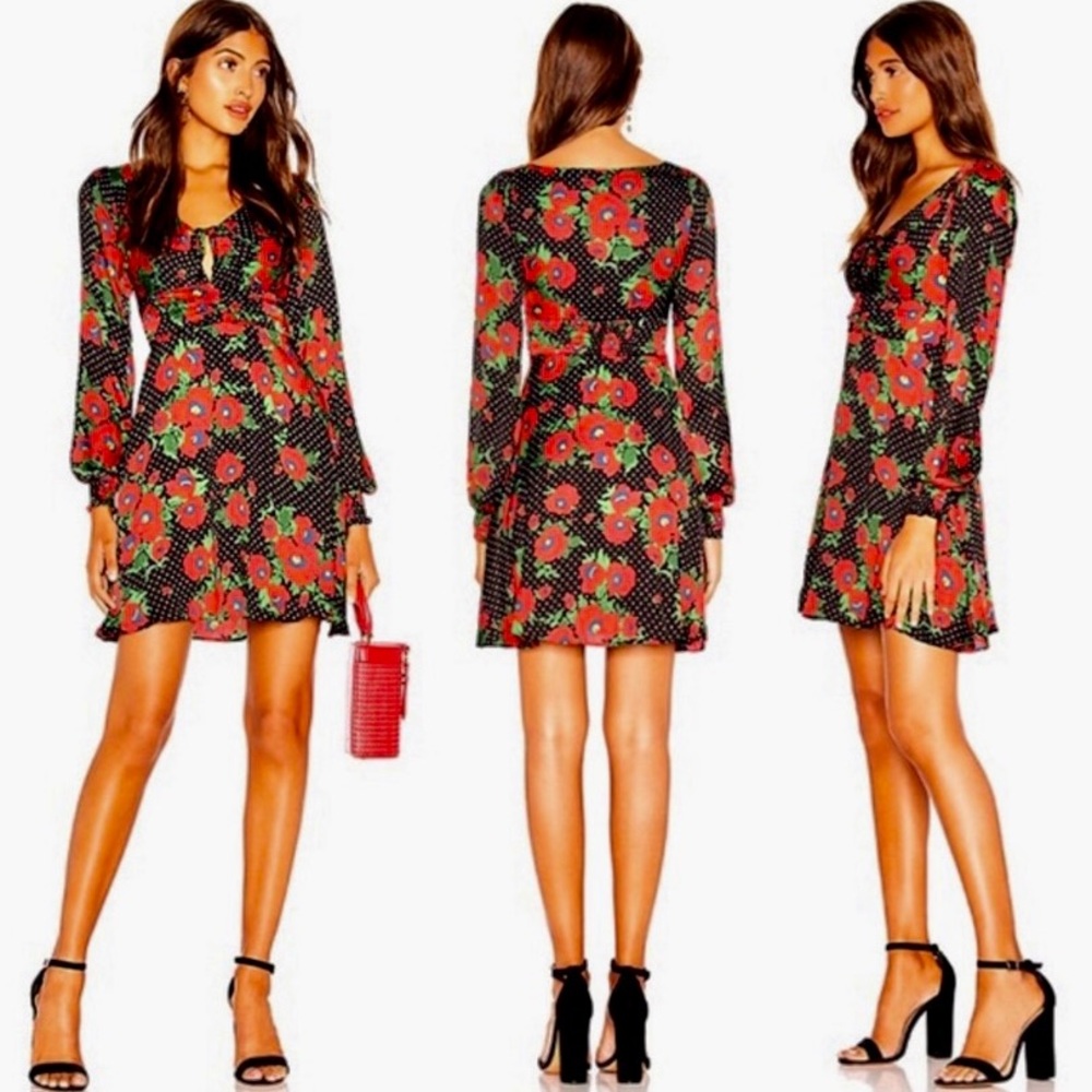 Free People Rose & Polka Dot Dress Sz 6